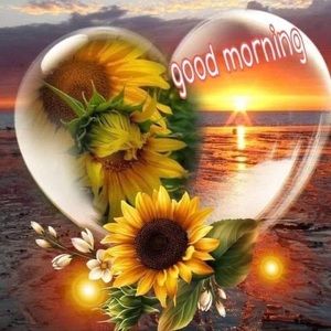 Meet your Posher, Misty